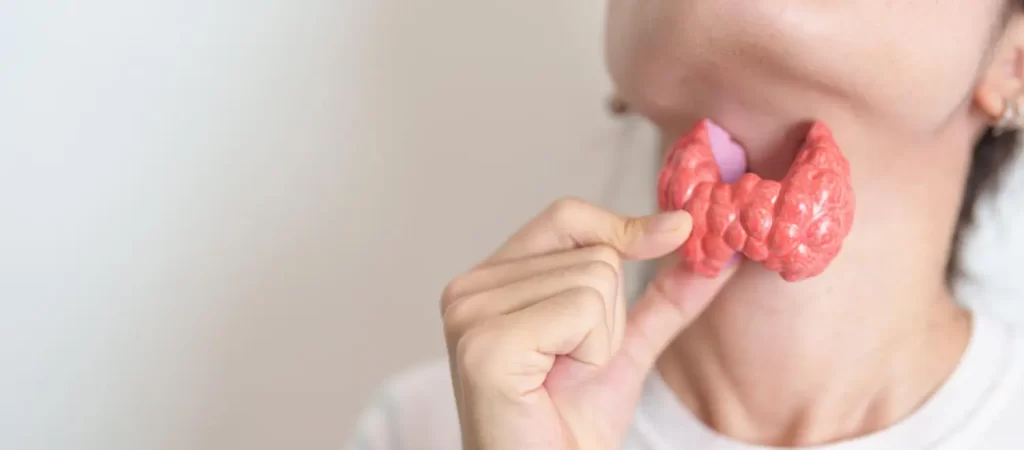 Ilustração da glândula tireoide na região do pescoço, representando alterações na tireoide em mulheres 40+